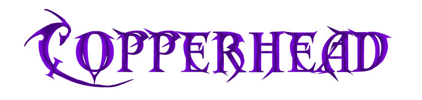 Copperhead 1/10 Crawler Kit - RC4WD Forums